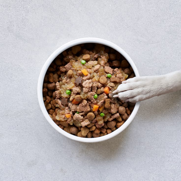 Feeding & Nutrition