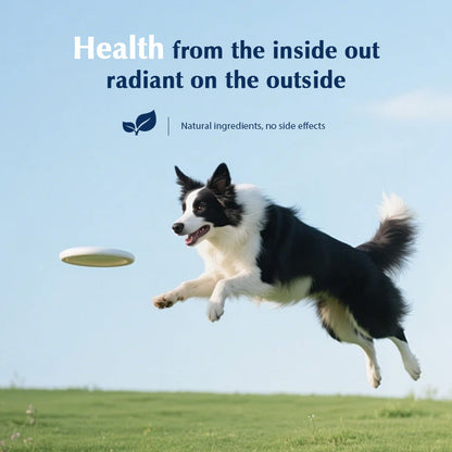Pet Hair Nutrition Drops