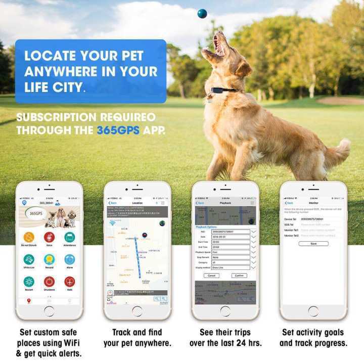 Waterproof GPS Locator for Pets with Real-Time Tracking