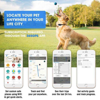 Waterproof GPS Locator for Pets with Real-Time Tracking