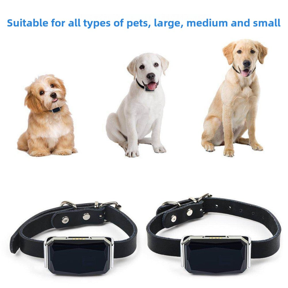 Waterproof GPS Locator for Pets with Real-Time Tracking